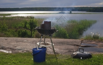 湖边的烧烤瑞典瓦尔姆兰山中芦苇明亮的颜色图片