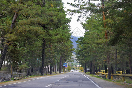 范围穿过森林景观的山地公路北高加索旅行路线移动白种人图片