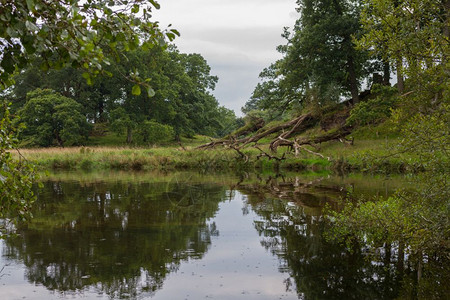 安布赛德国民公园在联合王国坎布里亚安利塞德的农村水池中反射图片