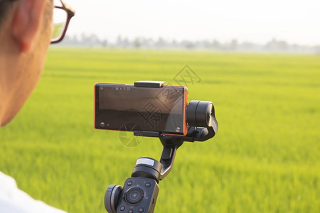 猴年视频素材电话摄影师数字的泰国TakTak泰国20年3月日手机正在拍摄一部影片使用GimbalZhiyunSluly4田间米背景