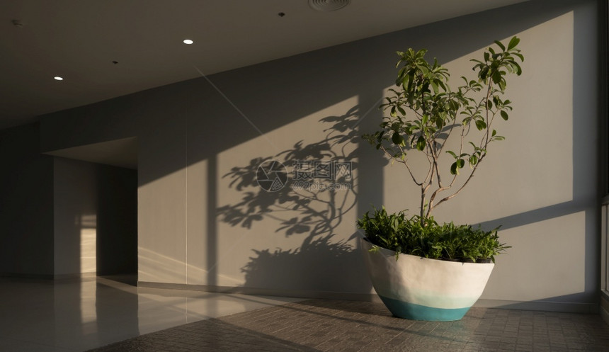 地面灯百货公司内走廊绿色房屋种植表面的阳光和阴影带有印空间的侧视面图景白天图片