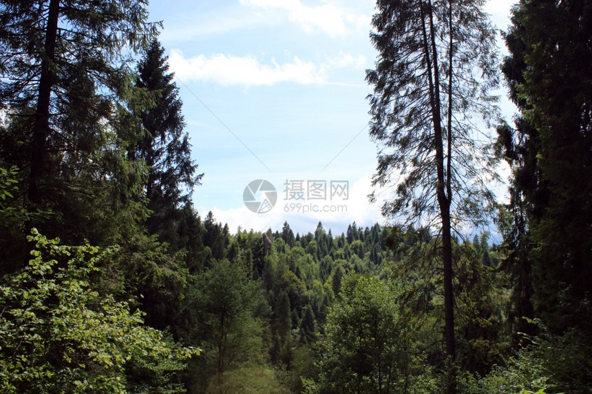 地方层全景以有林天空的喀尔巴阡山为方向图片
