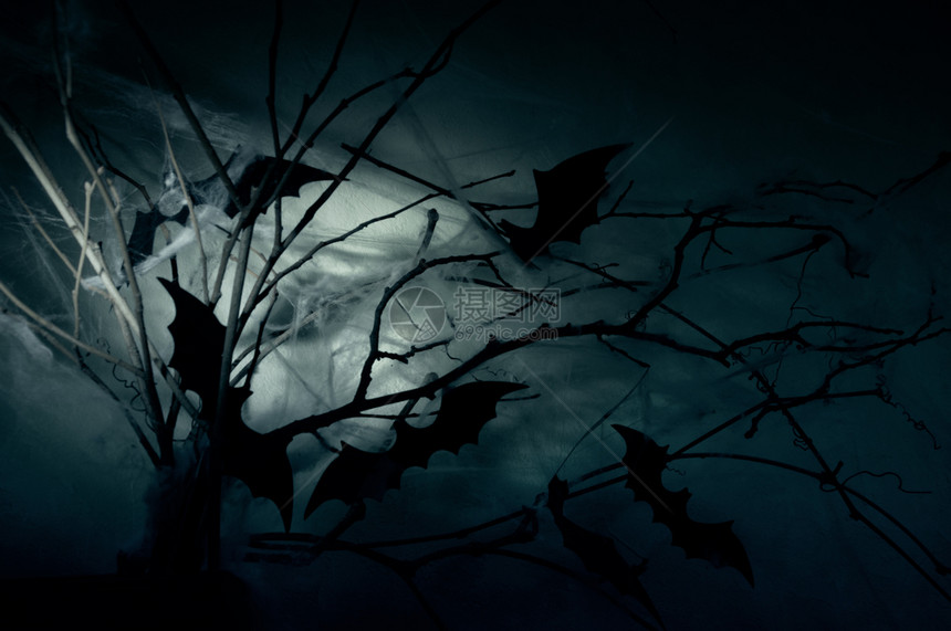 夜幕的阴暗中在网的树枝上装饰着蝙蝠的光影喜庆祝网络图片