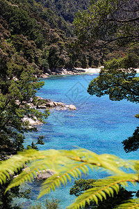 新西兰发现美丽的渴望天堂之梦美丽地方岛图片