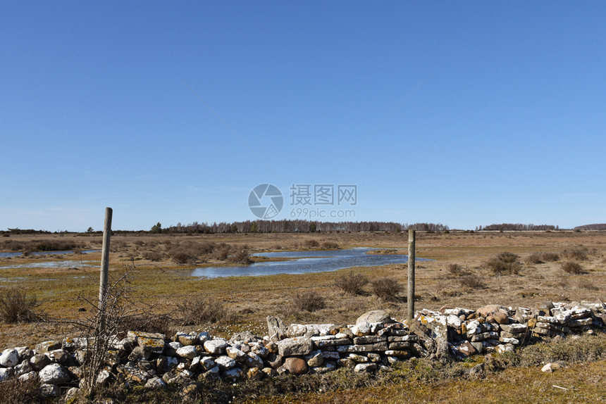 绿色瑞典奥兰岛大草原地貌图景荒芜伟大的图片