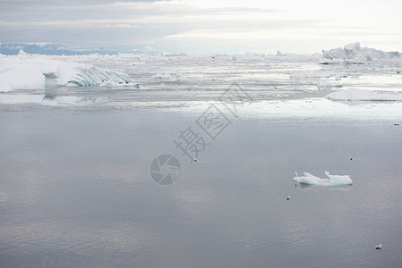 水Ilulissat周围格陵兰北极地貌的以及冰山和自然空的图片