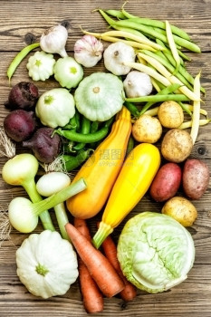 健康花园新鲜的生蔬菜乡村图片