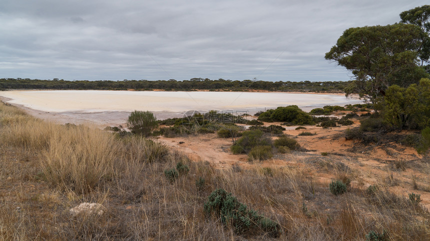 假期植物群天西澳大利亚州的盐湖西澳大利亚州的外背和盐湖风景在西澳大利亚州一个覆盖日图片