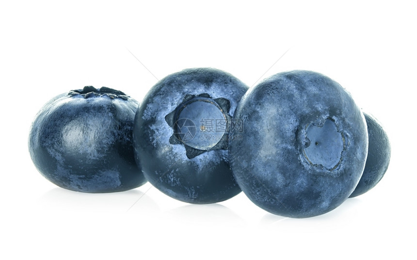 在白色背景上被孤立的蓝莓素食主义者越橘生的图片