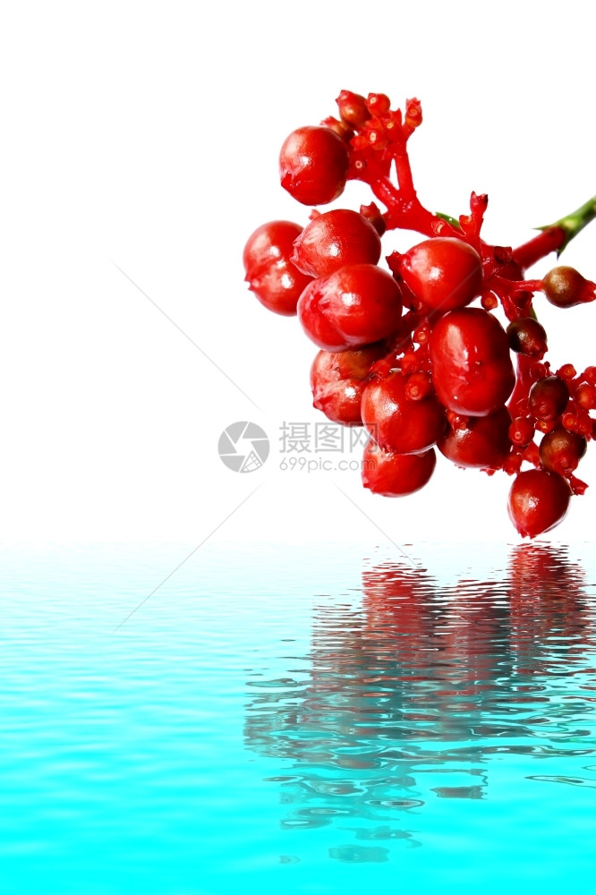红色的浆果可口白上隔离的红色草莓图片