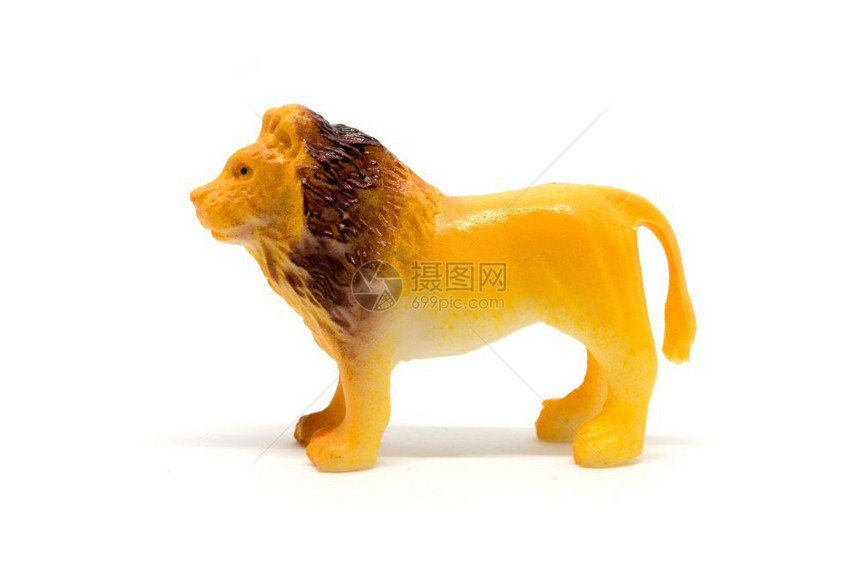 目的孤立在白色背景上的狮子模型动物玩具塑料颜色高的图片