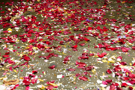 柔软的浪漫婚礼后玫瑰在地上脱落庆典背景图片