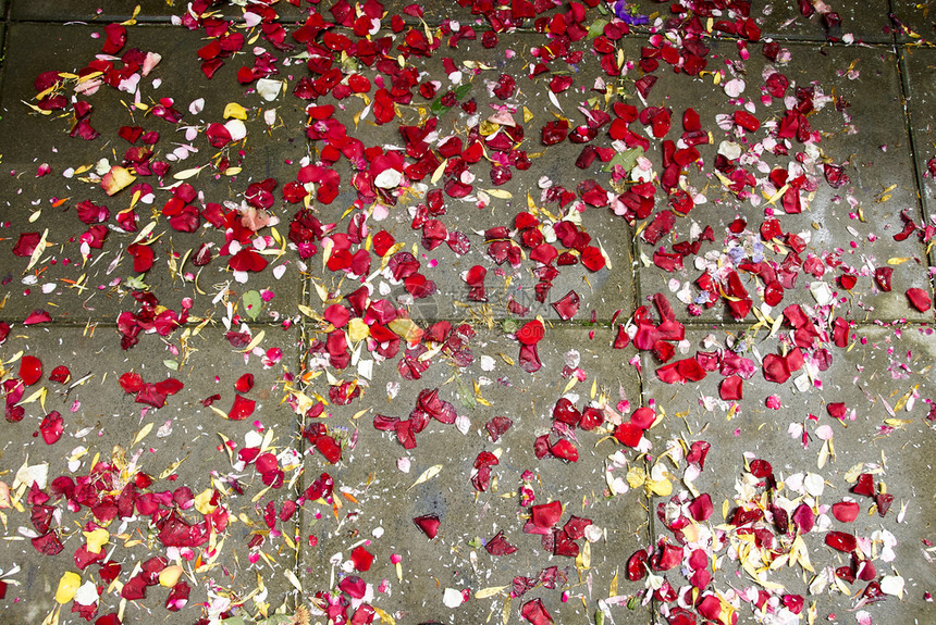 柔软的红色植物婚礼后玫瑰在地上脱落图片