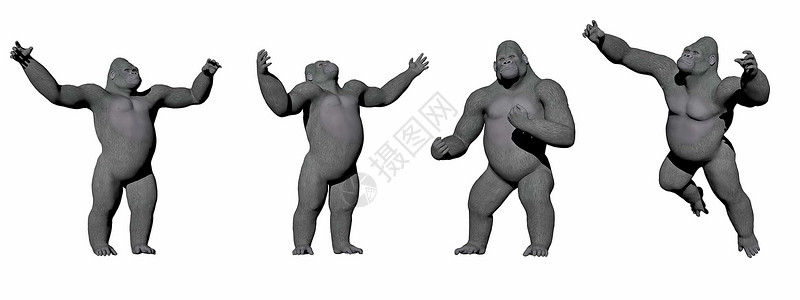 大猩猩荚自然四个不同位置的大猩在白色背景的大猩上3D野生动物王设计图片
