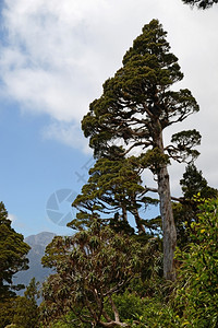 林登地段比德威利海岸高清图片