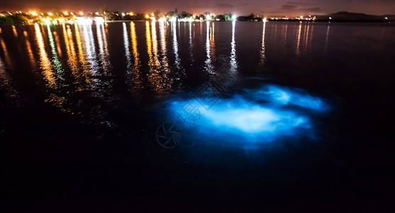 加勒比海闪发光的泻湖上水域的法尔茅斯蓝色的高清图片