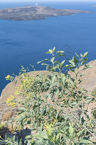 海希腊圣托里尼岛Thira的景象夏天木板路图片