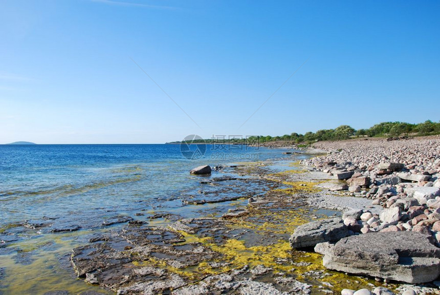 蓝色的自然宁静在波罗的海瑞典群岛奥兰Oland夏季前明亮的平板岩石海岸图片
