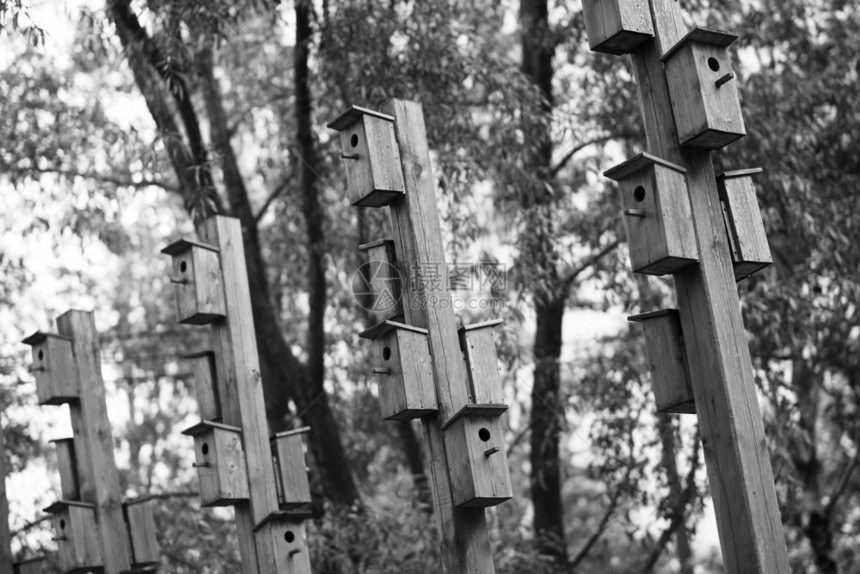 鸟类富有的建筑学垂直喂鸟器城市公园散景背垂直喂鸟器城市公园散景背高清图片