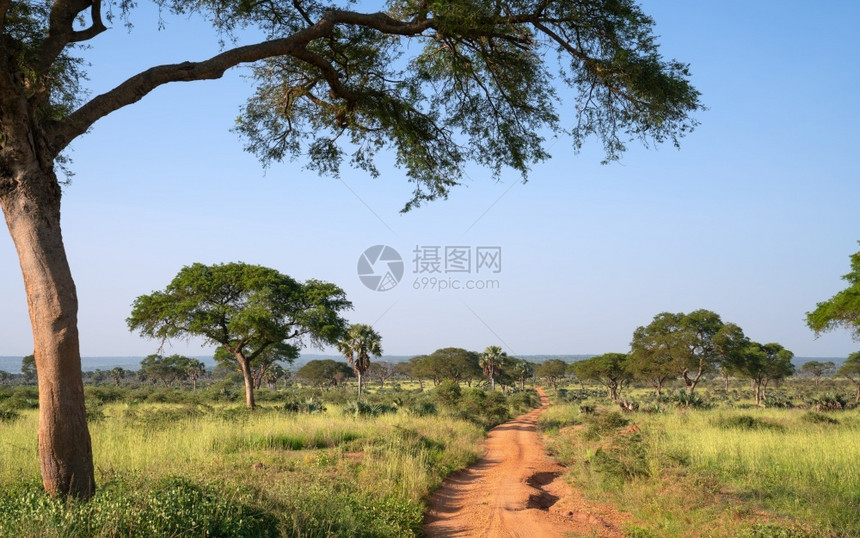 下降默奇森户外乌干达MurchisonFalls公园地貌的全景风图片