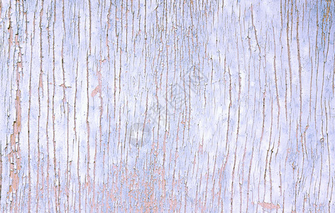 旧油漆的Lilac破碎木质纹理缝合具有复制空间的老式白背景的复古粗糙图片