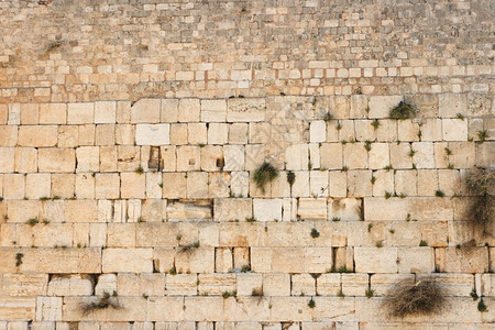 嚎啕大哭耶路撒冷西墙的建筑结构游客质地图片