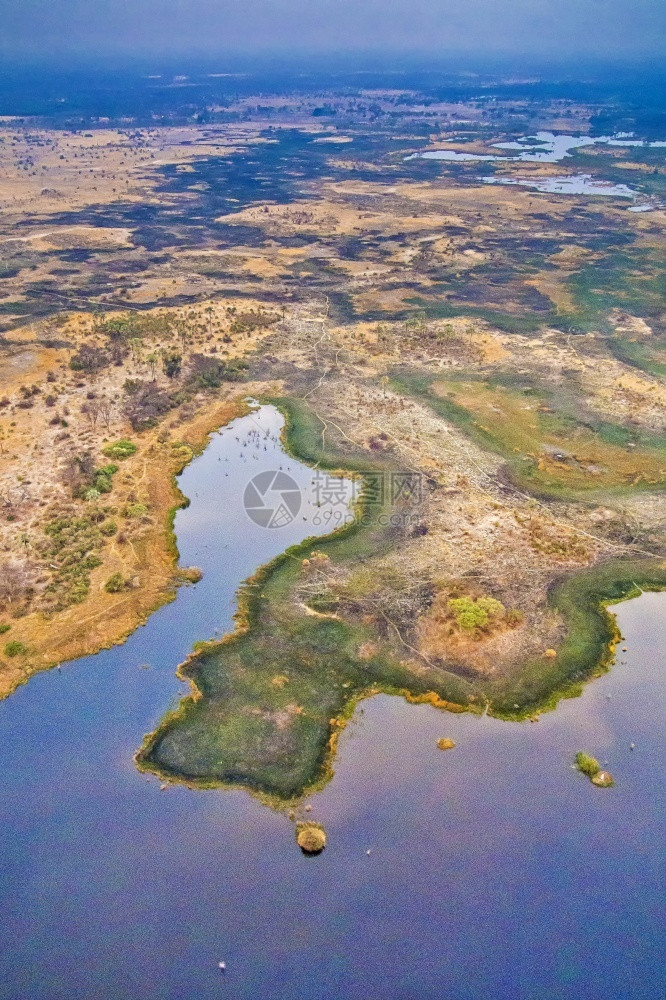 生物群落绿奥卡万戈湿地三角洲教科文组织世界遗产地点拉姆萨尔韦特兰博茨瓦纳非洲保护图片