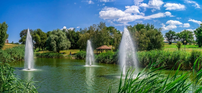 斯维亚托斯拉夫上市季节沃兹涅诺夫斯基公园的一个小池塘位于乌克兰扎波罗日耶的沃兹涅诺夫斯基公园一个阳光明媚的夏季清晨Voznesenovsky公背景