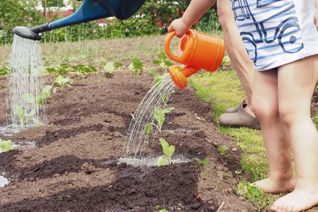 地球孩子夏天的小男在花园里用橘子水罐浇的植物晴天图片
