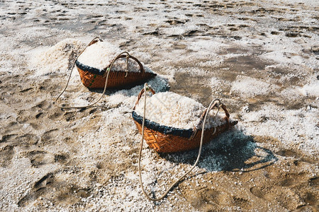 矿泰国盐海养殖场水蒸发池风景收成图片