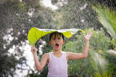 享受季节男孩微笑玩得开心站在她的头上叶子在雨中站立以下图片