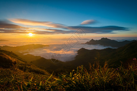 荒野植物高的胡志法山地貌日出泰国图片