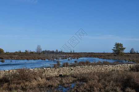 在瑞典群岛奥兰的春季前淹没了大片草原农村伟的压倒图片