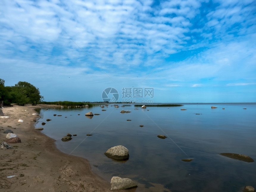 一群鸟在水库岸边海鸟从起飞海鸟从岸边起飞一群鸟在水库岸边鸥轮廓海图片