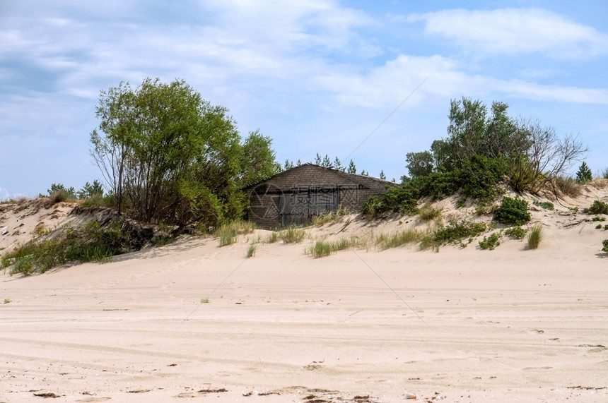 木制的海滩白色沙上废弃房屋沙滩上的丘木滩废弃房屋图片