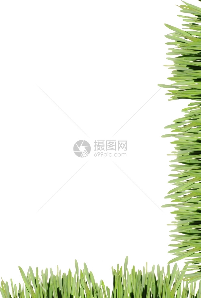 环境白色的高背景绿草边框架图片