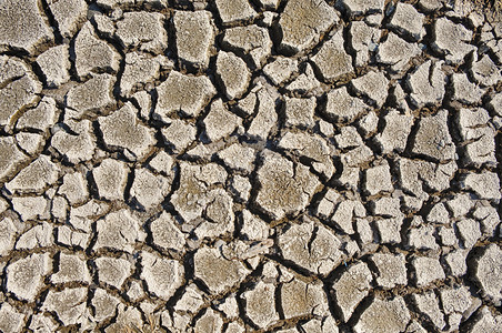 地球圣胡安岛一个池塘附近的片泥板用宽阔的裂缝干成一片大地土壤水平的图片