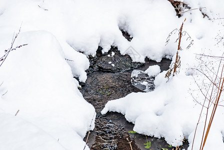 霜水雪地中无冻结的森林小溪下雪图片