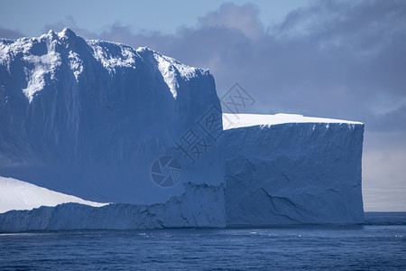 游泳偏蓝南极洲海洋水中的大型冰山漂流盒背景图片