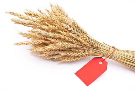 黑麦农场带红色标签的小麦耳朵农业图片