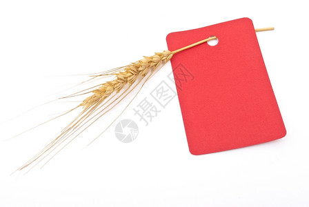 乡村的粮食红色带标签小麦耳朵背景图片