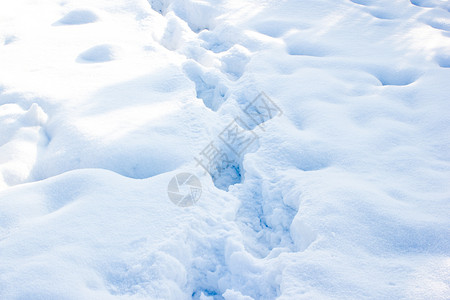 霜自然冬季足迹雪中的道路乡村图片