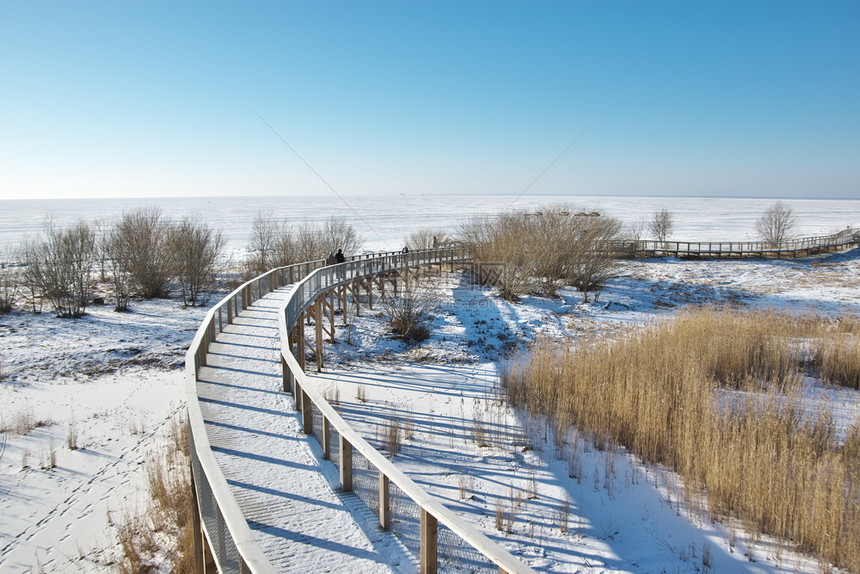 寒冷的经过观察爱沙尼亚Parnu海滩白雪覆盖的Parnu沿海草地山丘徒步足迹在阳光明的冬季日背景中完全冰冻和雪化的波罗海旅游图片