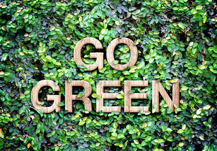 新的绿色由树叶墙上木字做成Eco概念抽象的环境图片