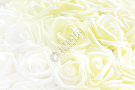 奢华夏天花盆布织成的白玫瑰开花图片