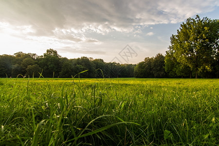 景观德国慕尼黑英格兰公园绿草云英国图片
