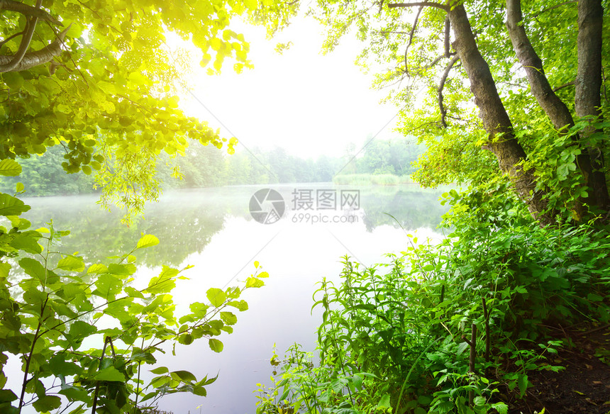 夏天河面的福吉黎明河面的福吉黎明湖水平的土地图片