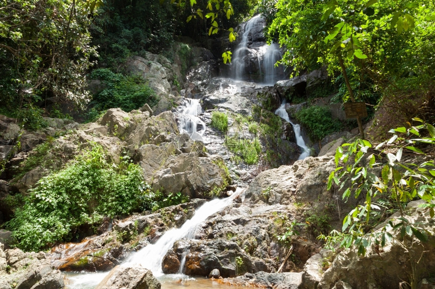 流动的弗吉尼亚从悬崖上掉下的水从瀑布岩石流下来在高山井树图片