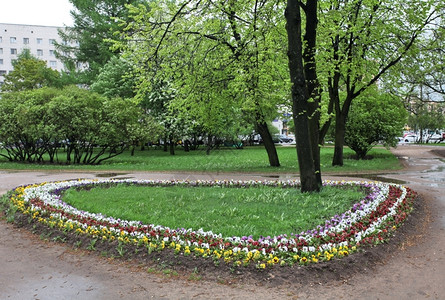 在城市公园的鲜花床上春雨露天园林绿化花车道图片