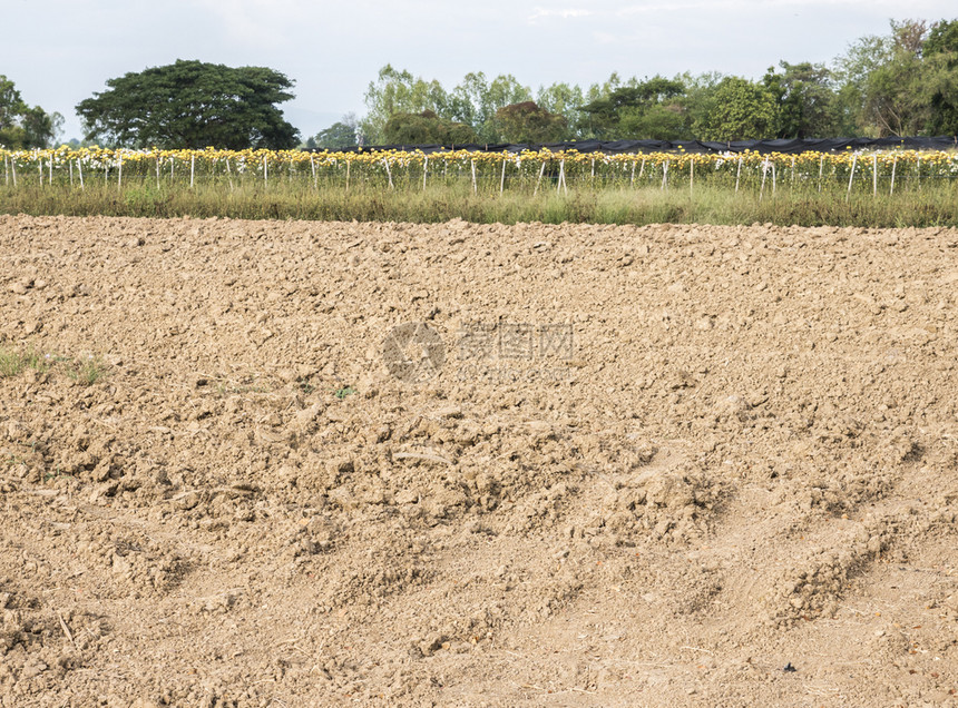 土壤田从拖拉机耕种准备到泰国农村场的花园种植然后由拖拉机耕种场地保护栽培图片